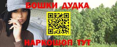 шишки Абакан