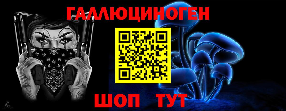 Анжеро-Судженск  Галлюциногенные грибы Cubensis  Вход с VPN 